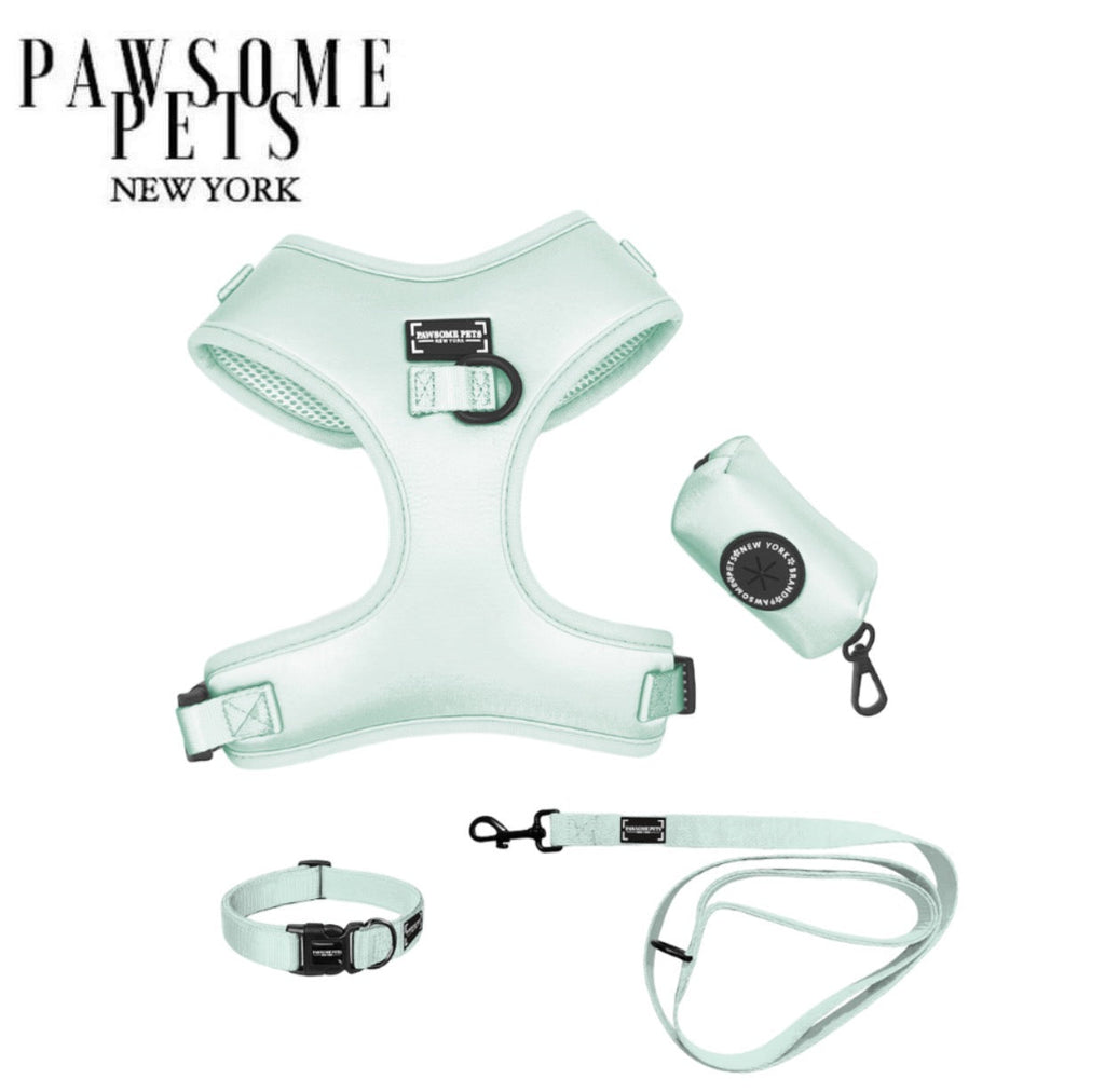 Mint Green Luxury Pet Walking Bundle – Harness, Collar, Lead, Bowtie & Poop Bag Holder | Pawsome Pets