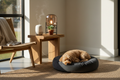 A cozy styled home corner with a diffuser, linen throw, and pet cushion — Cozy Earth Sanctuary Reset