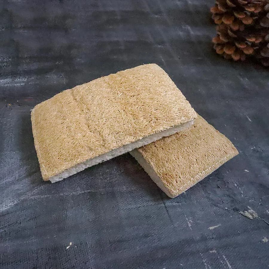 Plantish ecoCycle Natural Fibre Scrubbing Sponge – Organic, Biodegradable & Non-Scratch.
